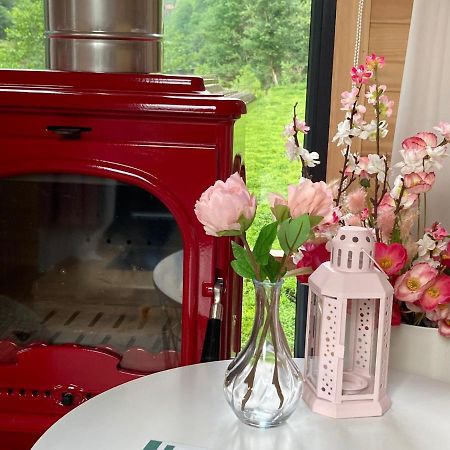 Vagona Tiny House Hotell Rize Eksteriør bilde