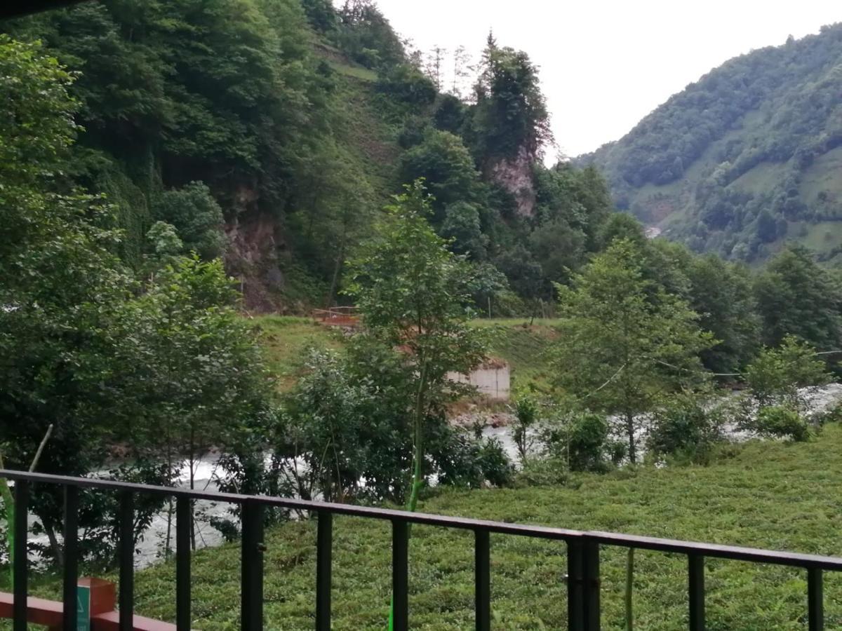Vagona Tiny House Hotell Rize Eksteriør bilde