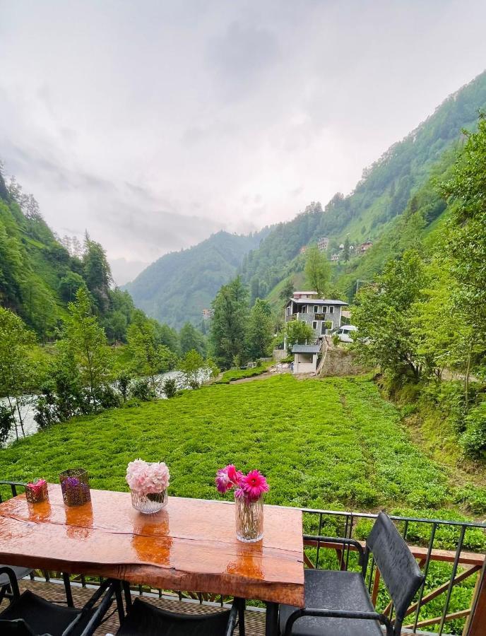 Vagona Tiny House Hotell Rize Eksteriør bilde