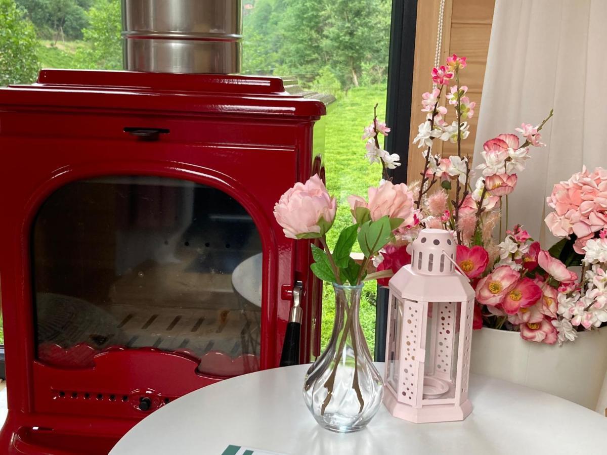 Vagona Tiny House Hotell Rize Eksteriør bilde