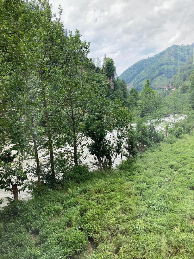 Vagona Tiny House Hotell Rize Eksteriør bilde